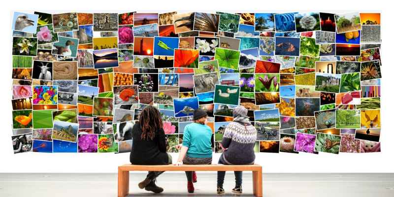 People viewing photo collage wall